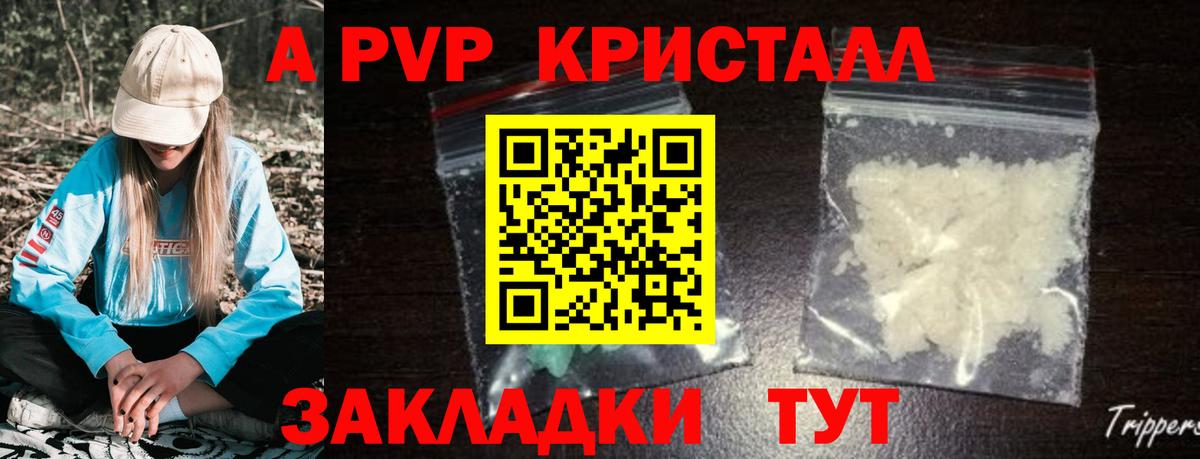 Альфа ПВП СК КРИС Аргун