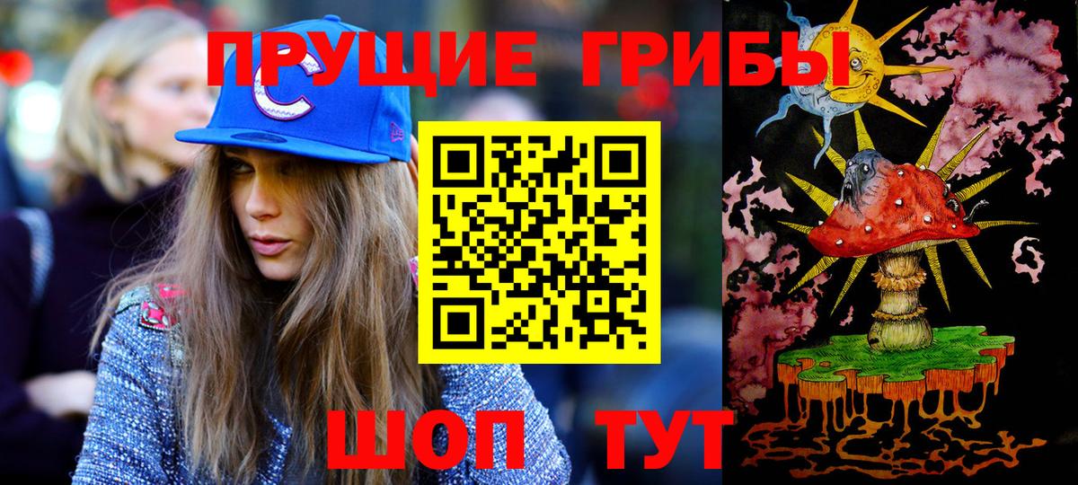 Псилоцибиновые грибы GOLDEN TEACHER  Галлюциногенные грибы мицелий  закладки  Вход с VPN  Аргун 